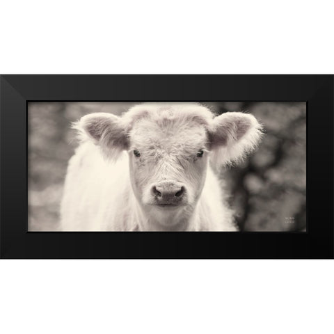 White Calf Panel Black Modern Wood Framed Art Print by Larson, Nathan