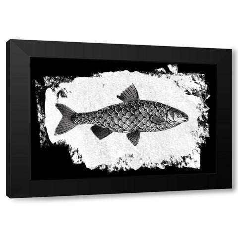 Fish I Black Modern Wood Framed Art Print with Double Matting by Adams, Sarah