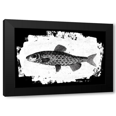 Fish II Black Modern Wood Framed Art Print with Double Matting by Adams, Sarah