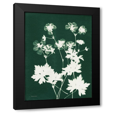 Alpine Flower V Green Black Modern Wood Framed Art Print with Double Matting by Ferguson, Kathy