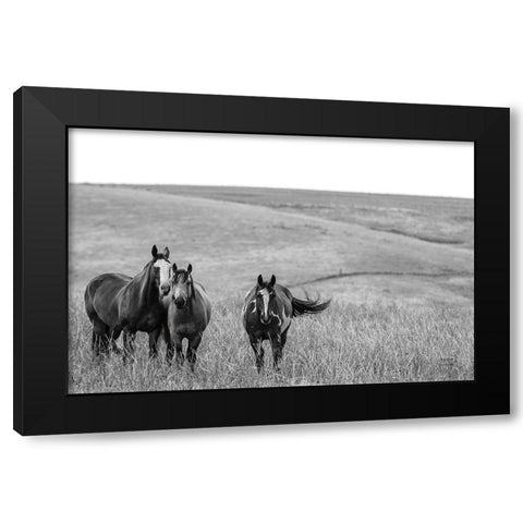 Montana Moves v2 Black Modern Wood Framed Art Print by Larson, Nathan