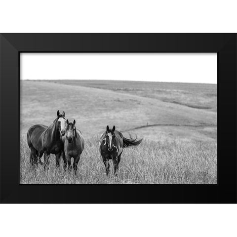 Montana Moves v2 Black Modern Wood Framed Art Print by Larson, Nathan