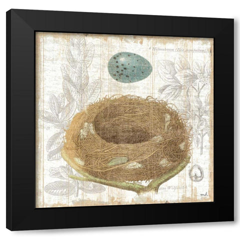 Botanical Nest III Black Modern Wood Framed Art Print by Hershey, Moira