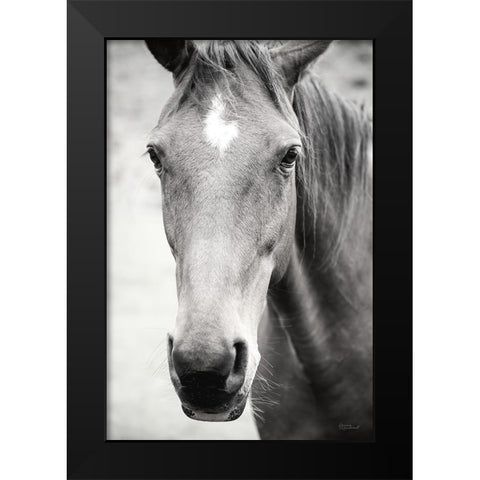 Moke Lake Horses I Black Modern Wood Framed Art Print by Marshall, Laura