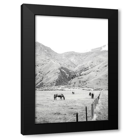 Moke Lake Horses V Black Modern Wood Framed Art Print by Marshall, Laura