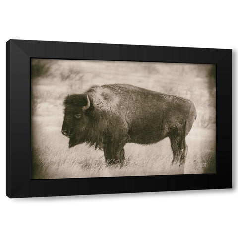 Solitary Sepia Black Modern Wood Framed Art Print by Larson, Nathan