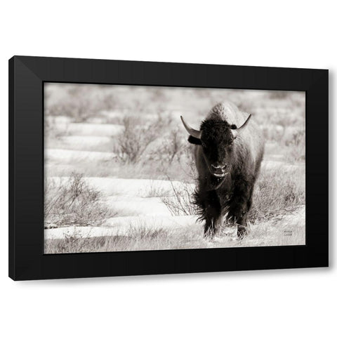 Bison Beauty BW Black Modern Wood Framed Art Print with Double Matting by Larson, Nathan