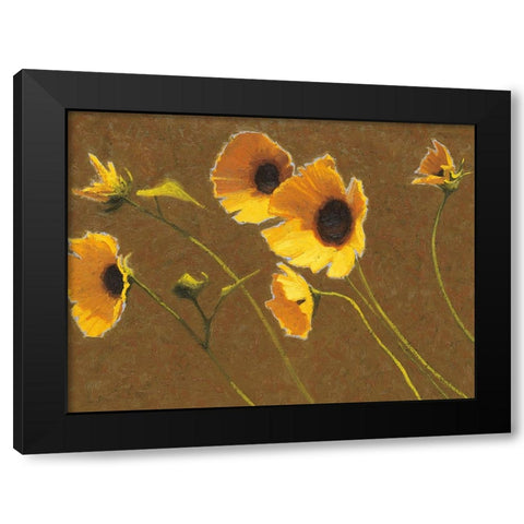 Sunny Flowers I Black Modern Wood Framed Art Print with Double Matting by Novak, Shirley