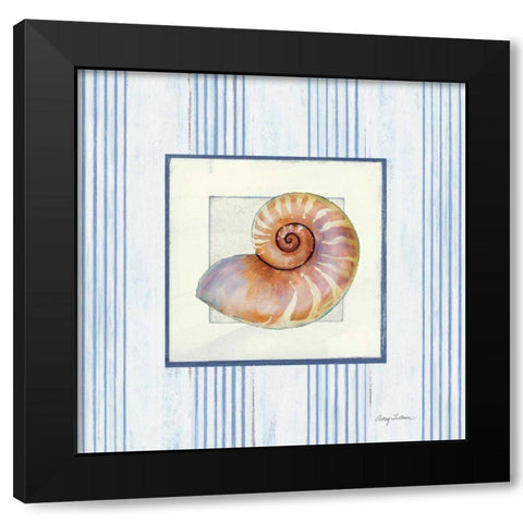 Sanibel Shell III Black Modern Wood Framed Art Print with Double Matting by Tillmon, Avery