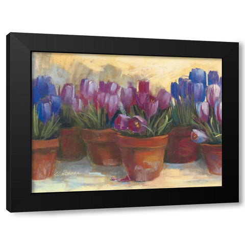 Spring Crocus Black Modern Wood Framed Art Print with Double Matting by Rowan, Carol