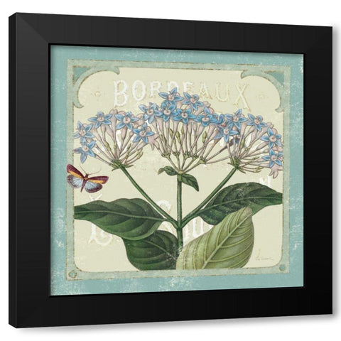 Parisian Flowers I Black Modern Wood Framed Art Print with Double Matting by Schlabach, Sue