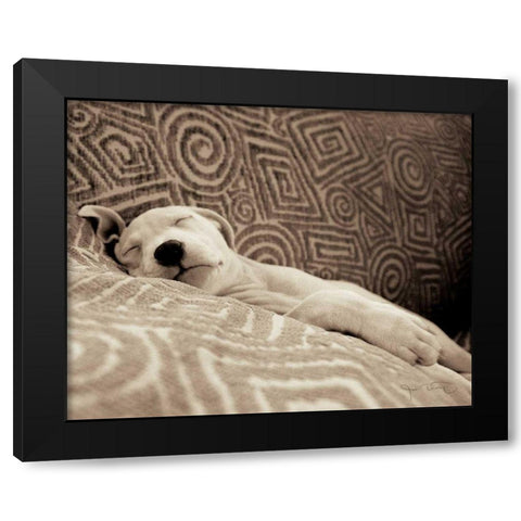 Dog Tired Black Modern Wood Framed Art Print by Dratfield, Jim