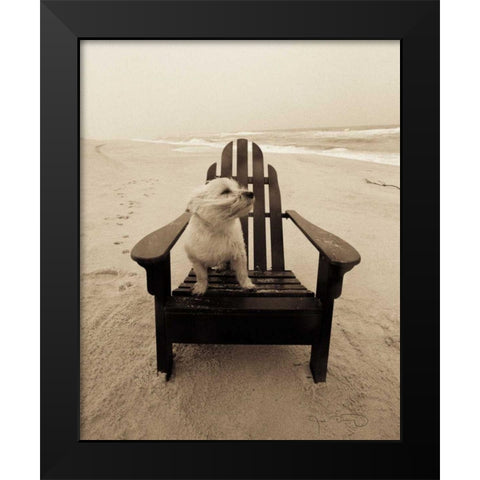 Lifes a beach Black Modern Wood Framed Art Print by Dratfield, Jim