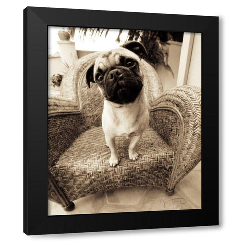 Wonder Black Modern Wood Framed Art Print by Dratfield, Jim
