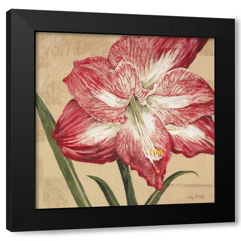 Blooming Wonder I Black Modern Wood Framed Art Print by Shelby, Judy