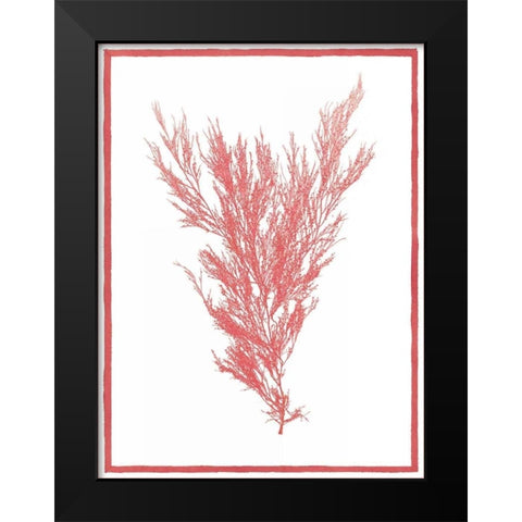 Sea Things II Black Modern Wood Framed Art Print by Chilton, Sarah E