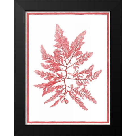 Sea Things III Black Modern Wood Framed Art Print by Chilton, Sarah E