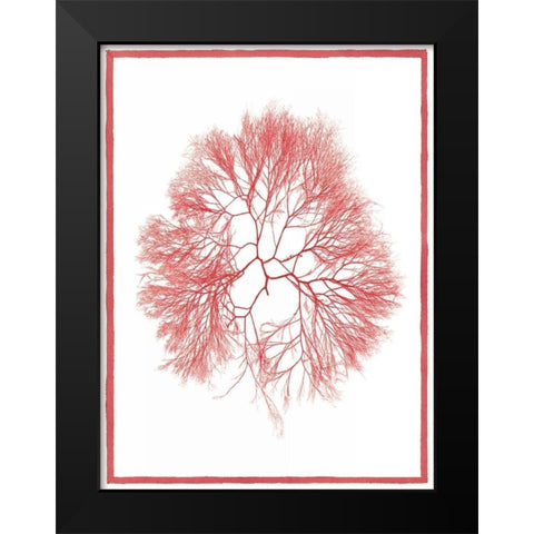 Sea Things IV Black Modern Wood Framed Art Print by Chilton, Sarah E