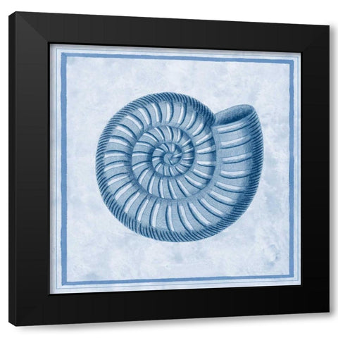 Blue Nautilus A Black Modern Wood Framed Art Print with Double Matting by Chilton, Sarah E