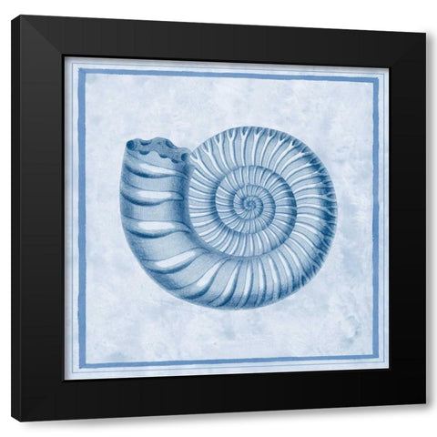 Blue Nautilus B Black Modern Wood Framed Art Print with Double Matting by Chilton, Sarah E
