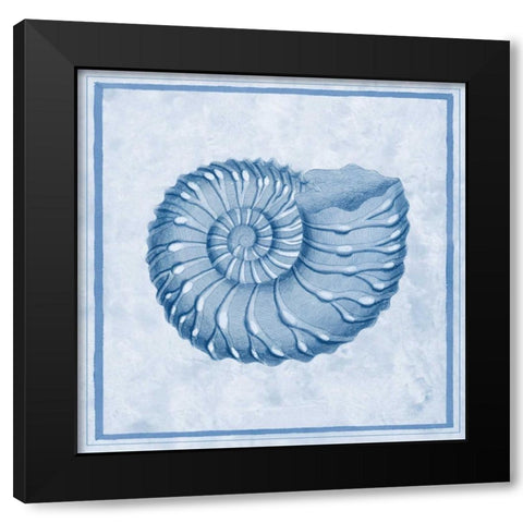 Blue Nautilus C Black Modern Wood Framed Art Print by Chilton, Sarah E