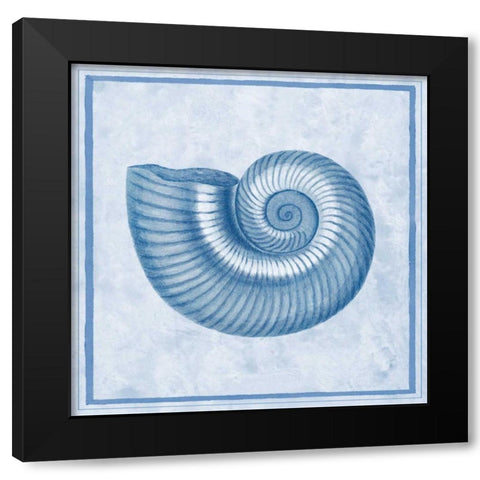 Blue Nautilus D Black Modern Wood Framed Art Print with Double Matting by Chilton, Sarah E