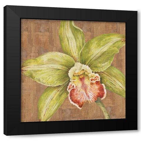 Aloha Beauty II Black Modern Wood Framed Art Print with Double Matting by Shelby, Judy