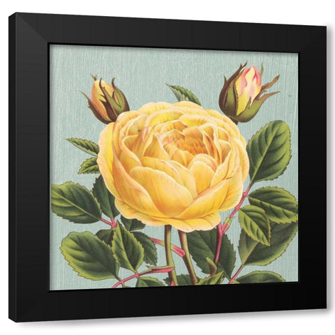 Yellow Rose Black Modern Wood Framed Art Print with Double Matting by Chilton, Sarah E
