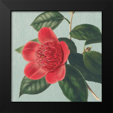 Peony Black Modern Wood Framed Art Print by Chilton, Sarah E