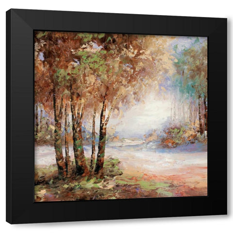 Light in Balance II Black Modern Wood Framed Art Print by Bannister, Cory