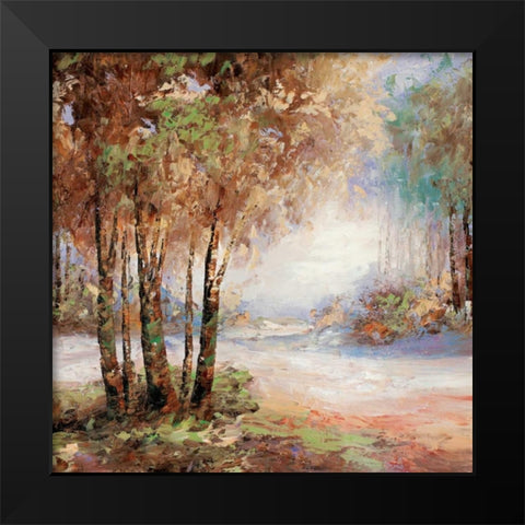 Light in Balance II Black Modern Wood Framed Art Print by Bannister, Cory
