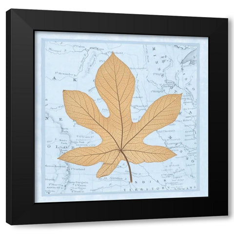 Natures Profile A Black Modern Wood Framed Art Print by Bannister, Cory