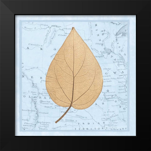 Natures Profile D Black Modern Wood Framed Art Print by Bannister, Cory