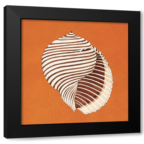 Cayman Quartet A Black Modern Wood Framed Art Print with Double Matting by Shelby, Judy