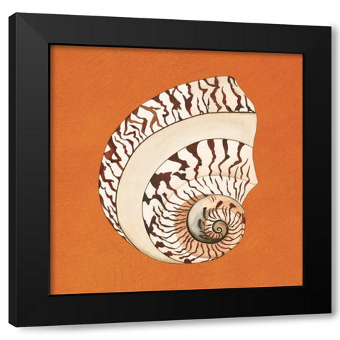 Cayman Quartet B Black Modern Wood Framed Art Print by Shelby, Judy