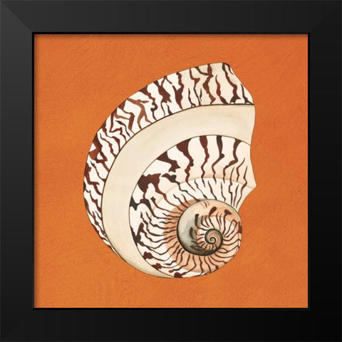 Cayman Quartet B Black Modern Wood Framed Art Print by Shelby, Judy