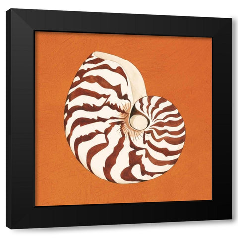 Cayman Quartet C Black Modern Wood Framed Art Print by Shelby, Judy