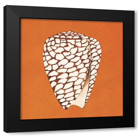 Cayman Quartet D Black Modern Wood Framed Art Print with Double Matting by Shelby, Judy