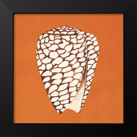 Cayman Quartet D Black Modern Wood Framed Art Print by Shelby, Judy