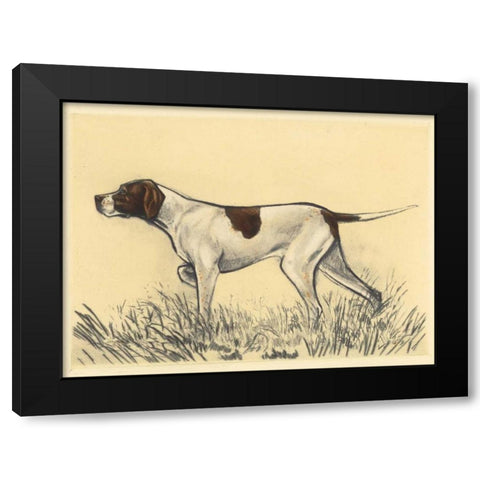 Hunting Dogs-Pointer Black Modern Wood Framed Art Print by Collot, Andres