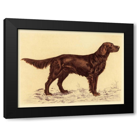 Hunting Dogs-Setter Black Modern Wood Framed Art Print by Collot, Andres
