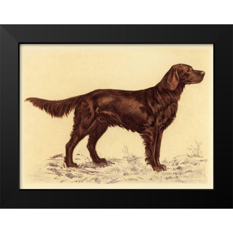 Hunting Dogs-Setter Black Modern Wood Framed Art Print by Collot, Andres
