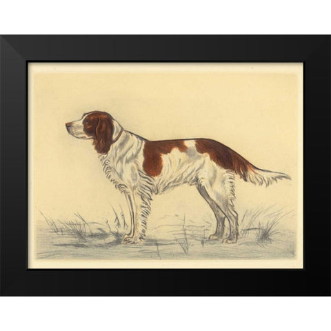 Hunting Dogs-Spaniel Black Modern Wood Framed Art Print by Collot, Andres
