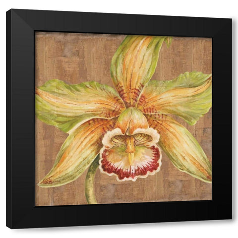 Aloha Beauty Petites A Black Modern Wood Framed Art Print with Double Matting by Shelby, Judy