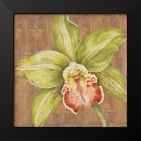 Aloha Beauty Petites B Black Modern Wood Framed Art Print by Shelby, Judy