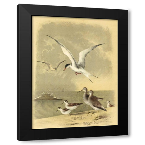 Coastal Dwellers I Black Modern Wood Framed Art Print with Double Matting by Steele, Horace