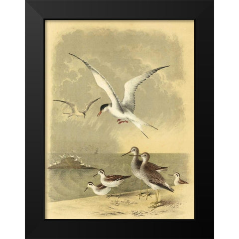 Coastal Dwellers I Black Modern Wood Framed Art Print by Steele, Horace