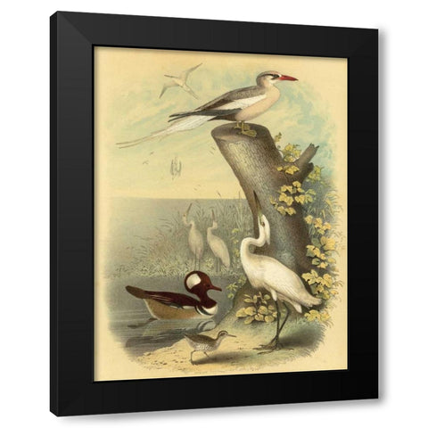 Coastal Dwellers II Black Modern Wood Framed Art Print with Double Matting by Steele, Horace