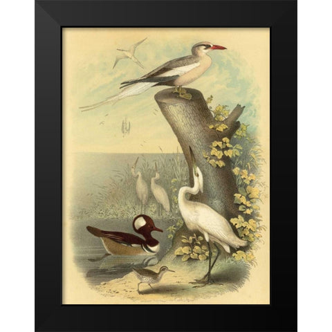 Coastal Dwellers II Black Modern Wood Framed Art Print by Steele, Horace