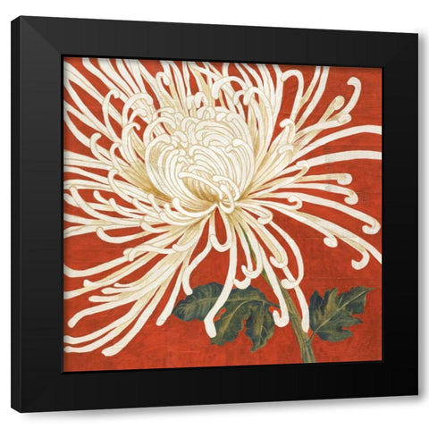 Spider Mum II Black Modern Wood Framed Art Print by Shelby, Judy